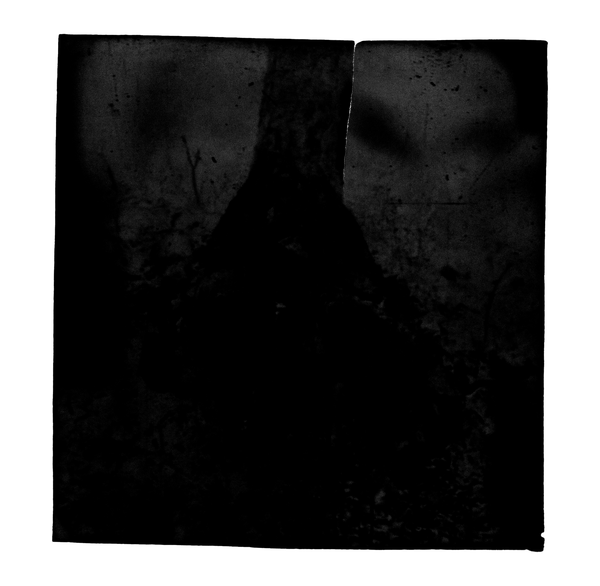 © Eli Apezteguia - Image from the the absence photography project