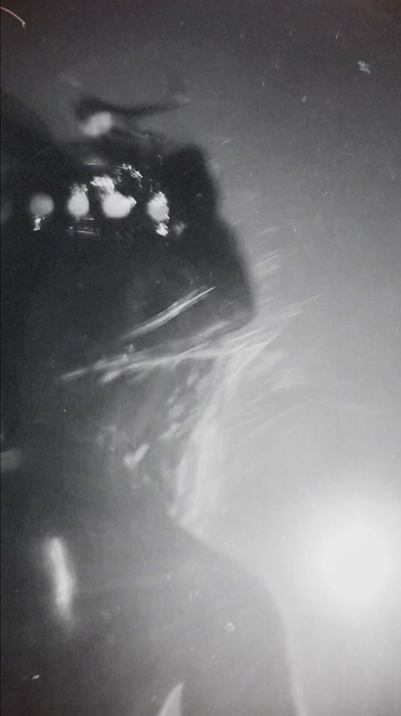 © Eli Apezteguia - Image from the Returning body photography project