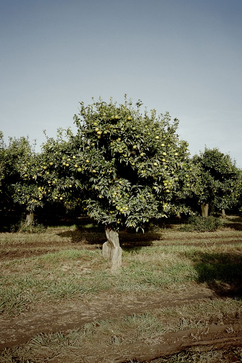 © Murat Kahya - Image from the Just Arrived: Here, There, Over there photography project