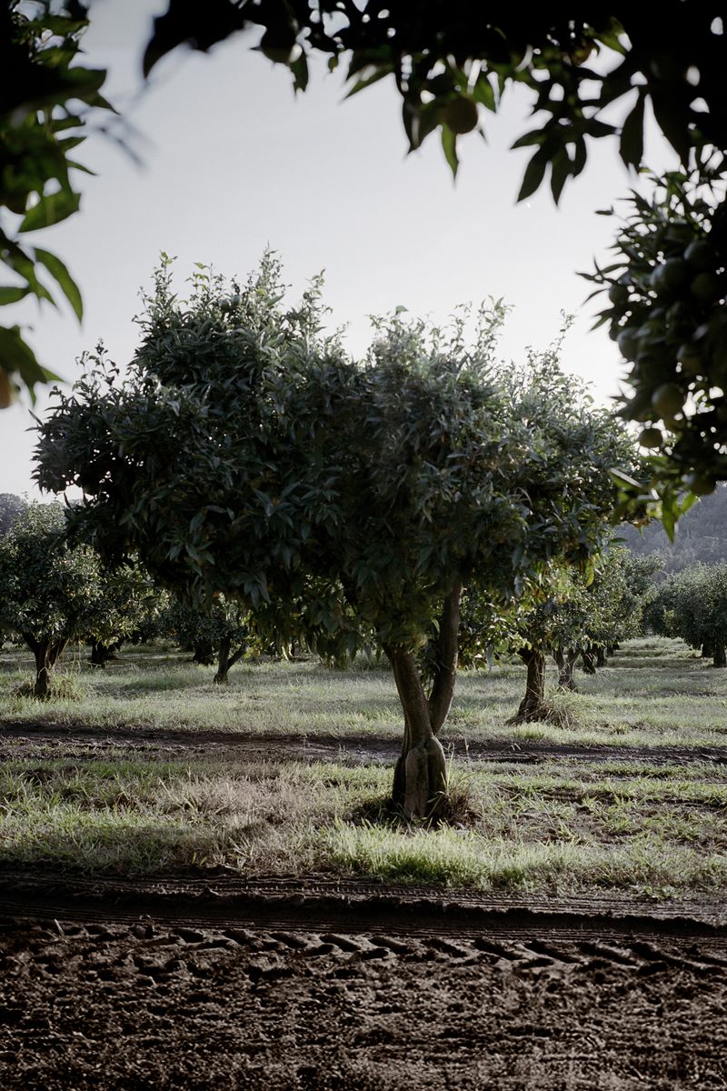 © Murat Kahya - Image from the Just Arrived: Here, There, Over there photography project