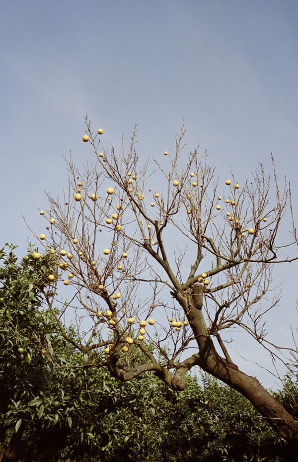 © Murat Kahya - Image from the Just Arrived: Here, There, Over there photography project