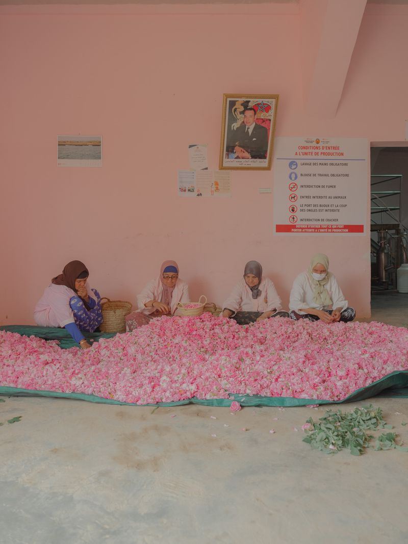 © Teresa Freitas - Image from the Flower(s) / A cloud poured its blue over the orchard photography project