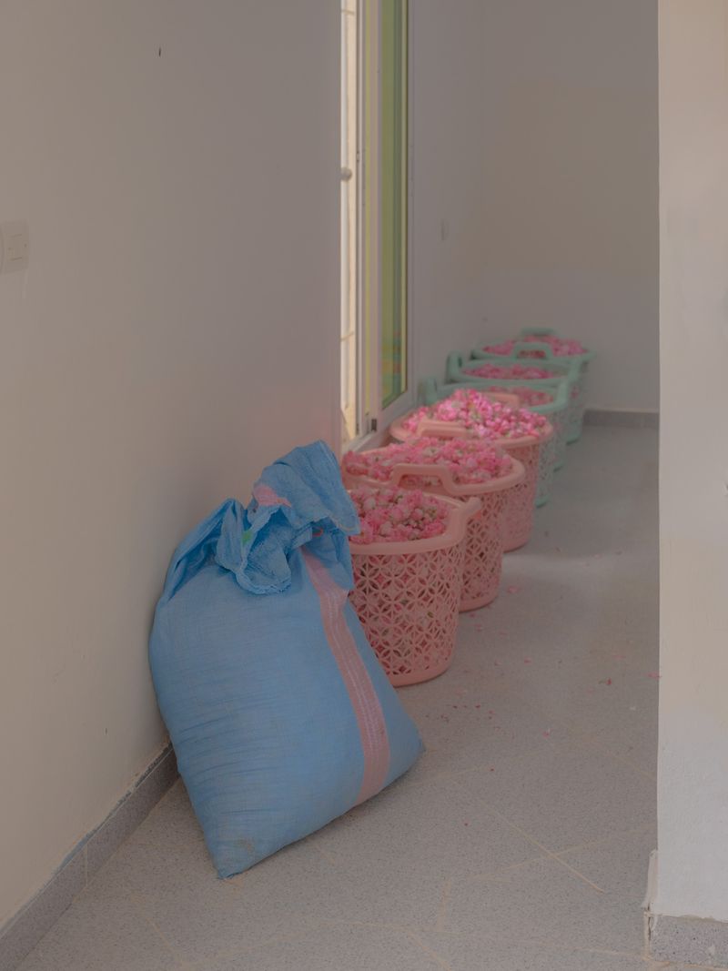 © Teresa Freitas - Careful with that bag of roses, 2023