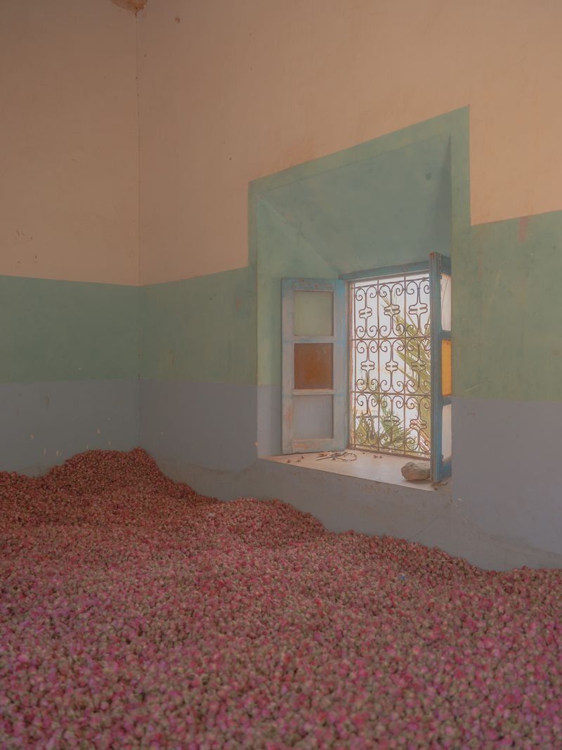 © Teresa Freitas - Tapestry, 2023