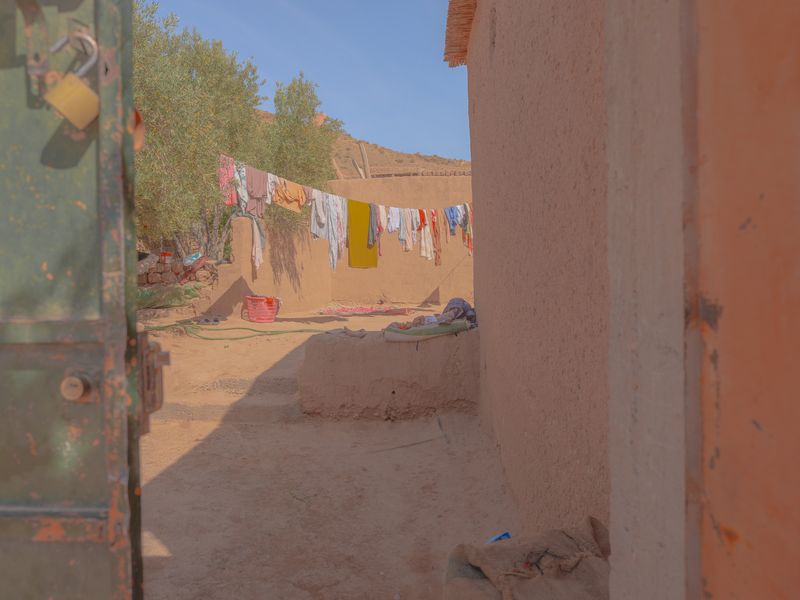 © Teresa Freitas - Image from the Flower(s) / A cloud poured its blue over the orchard photography project