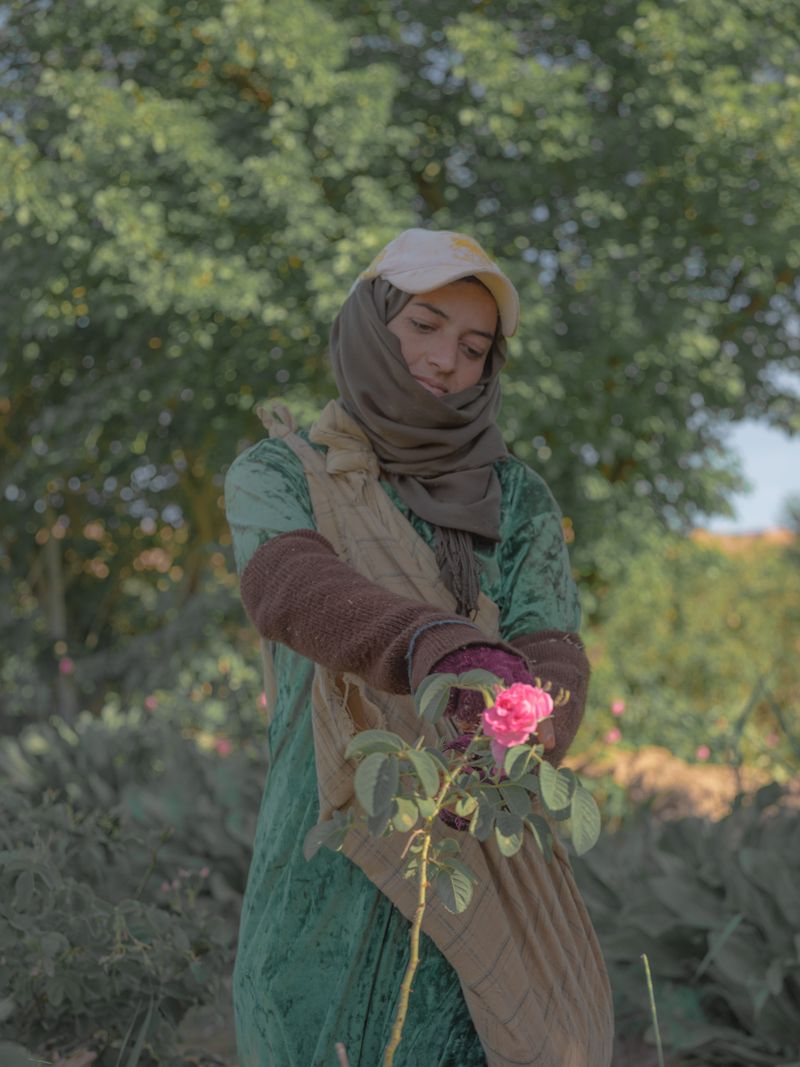 © Teresa Freitas - Image from the Flower(s) / A cloud poured its blue over the orchard photography project