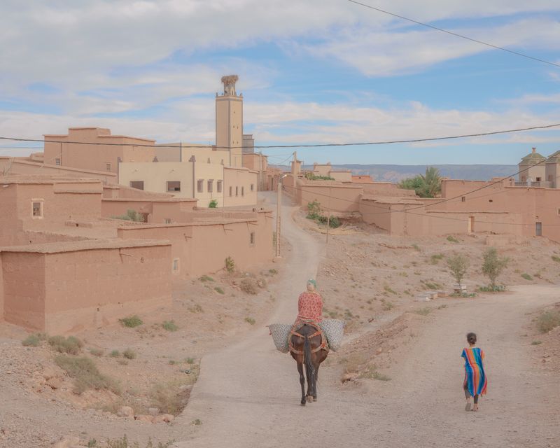 © Teresa Freitas - Image from the Flower(s) / A cloud poured its blue over the orchard photography project