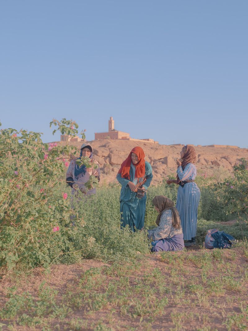© Teresa Freitas - Image from the Flower(s) / A cloud poured its blue over the orchard photography project
