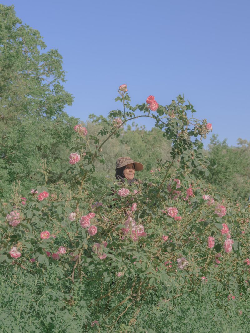 © Teresa Freitas - Biya, 2023