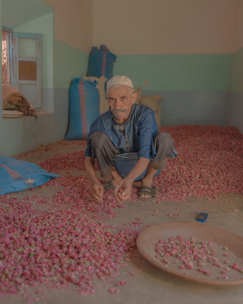 © Teresa Freitas - Brahim, 2023