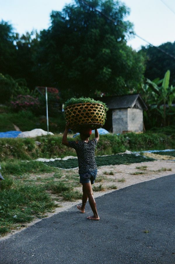 © Flavia Jessica - Seaweed farmer in Nusa Lembongan.
