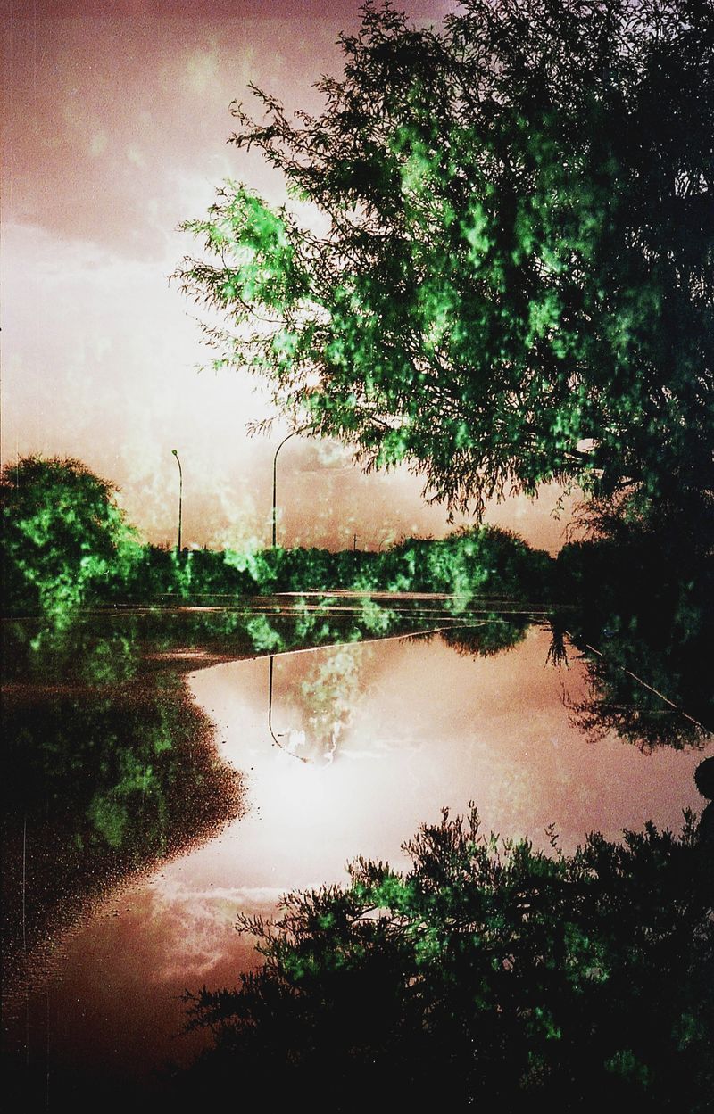 © Ana Garrido - Radioactive Sunsets