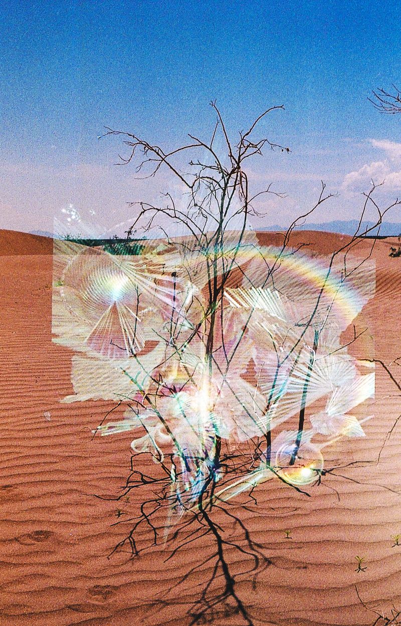 © Ana Garrido - Oasis Creature