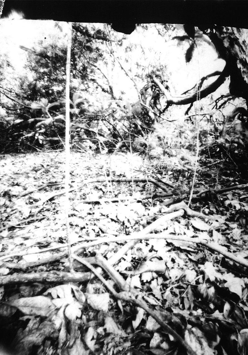 © Ana Garrido - Image from the Embodied Landscapes photography project