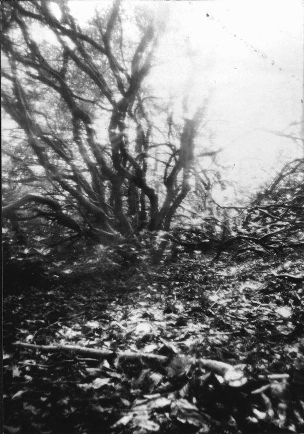 © Ana Garrido - Image from the Embodied Landscapes photography project