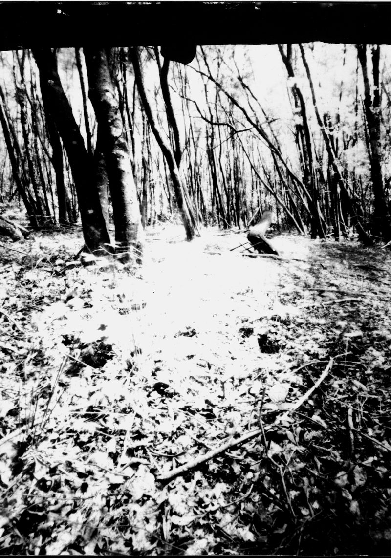 © Ana Garrido - It was exposed for 1 hour and 20 minutes in a direct positive paper (2023). No traces of myself again.