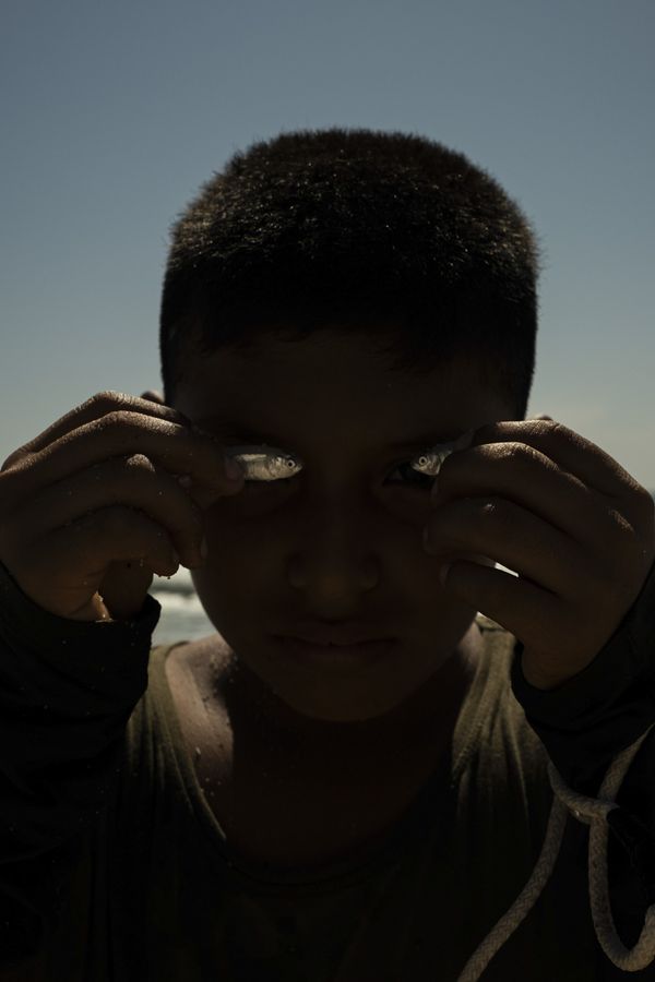 © Luvia Lazo - Romeo and his eyes