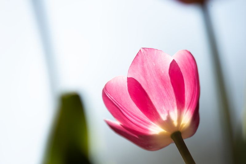 © Melissa Banks - Image from the Kia Atawhai. Be Kind. photography project