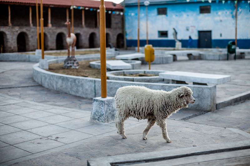 © David Martín Huamaní Bedoya - Image from the Death in the heights photography project