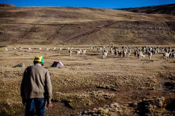 © David Martín Huamaní Bedoya - Image from the Death in the heights photography project