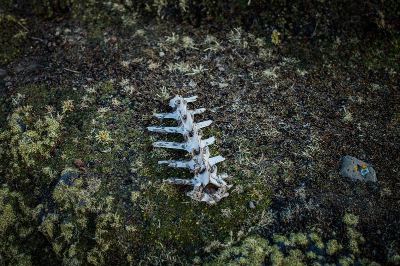 © David Martín Huamaní Bedoya - Image from the Death in the heights photography project