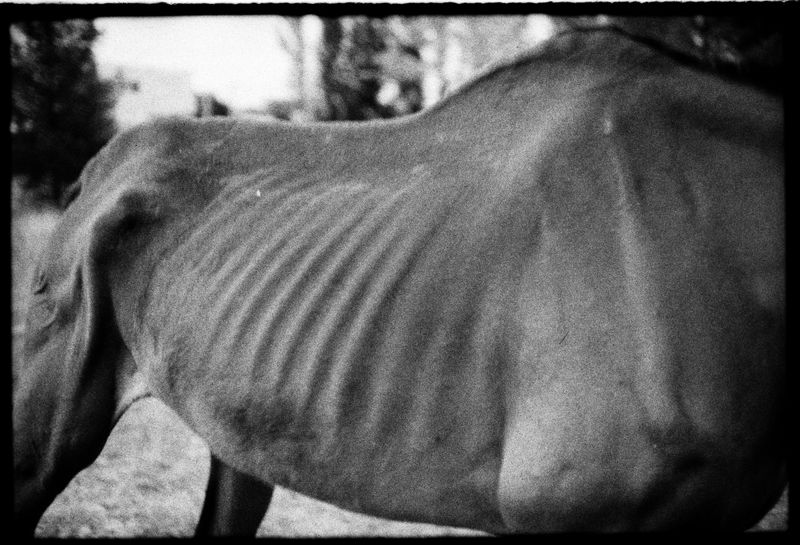 © Dolores Ganuza - Image from the Wind, talk to me photography project