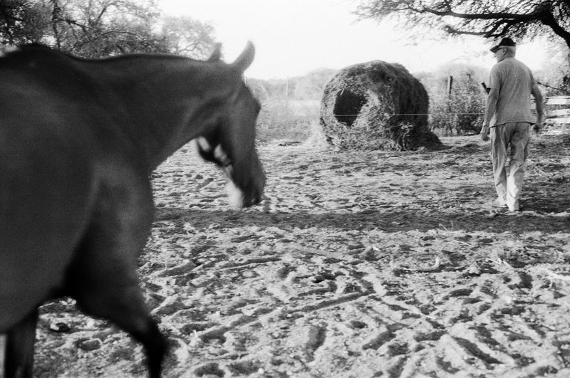 © Dolores Ganuza - Image from the Wind, talk to me photography project