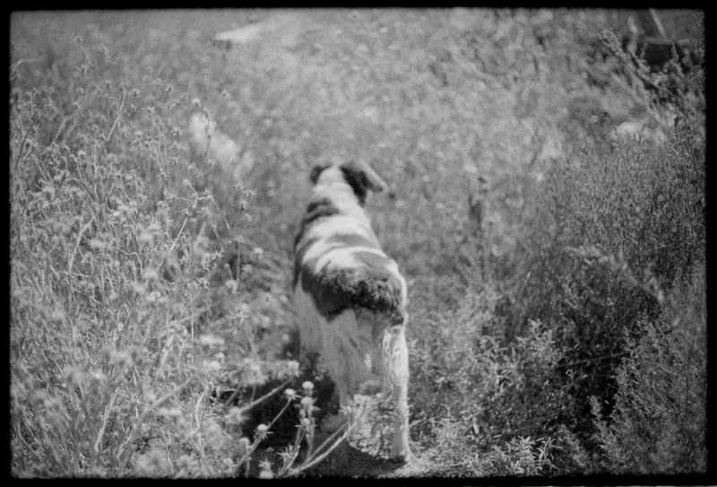 © Dolores Ganuza - Image from the Wind, talk to me photography project