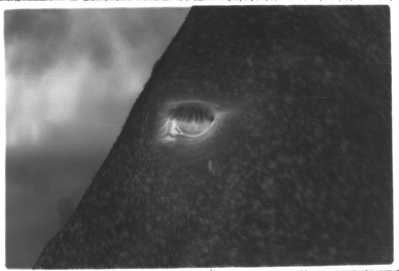 © Dolores Ganuza - Image from the Wind, talk to me photography project