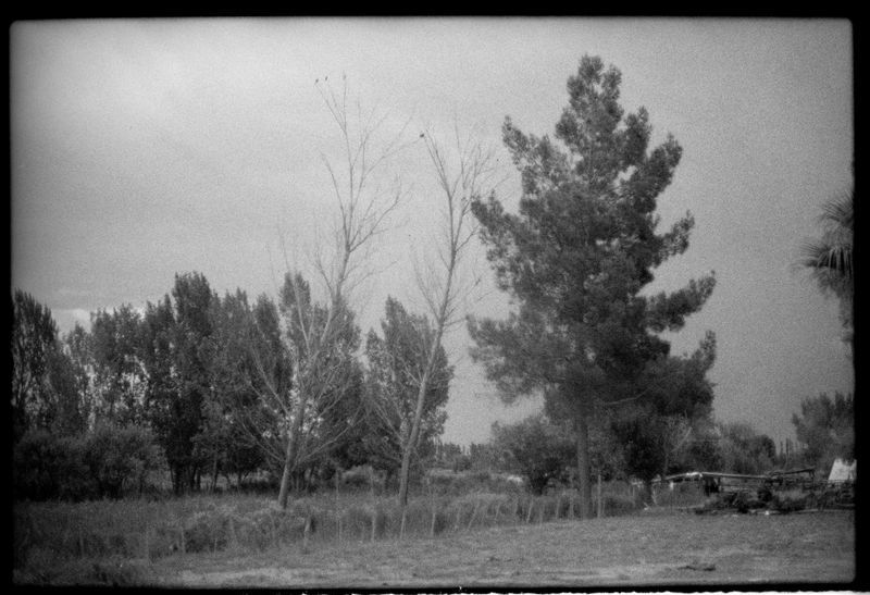 © Dolores Ganuza - Image from the Wind, talk to me photography project