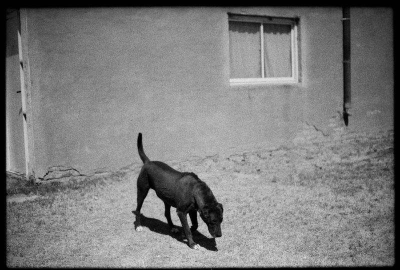 © Dolores Ganuza - Image from the Wind, talk to me photography project