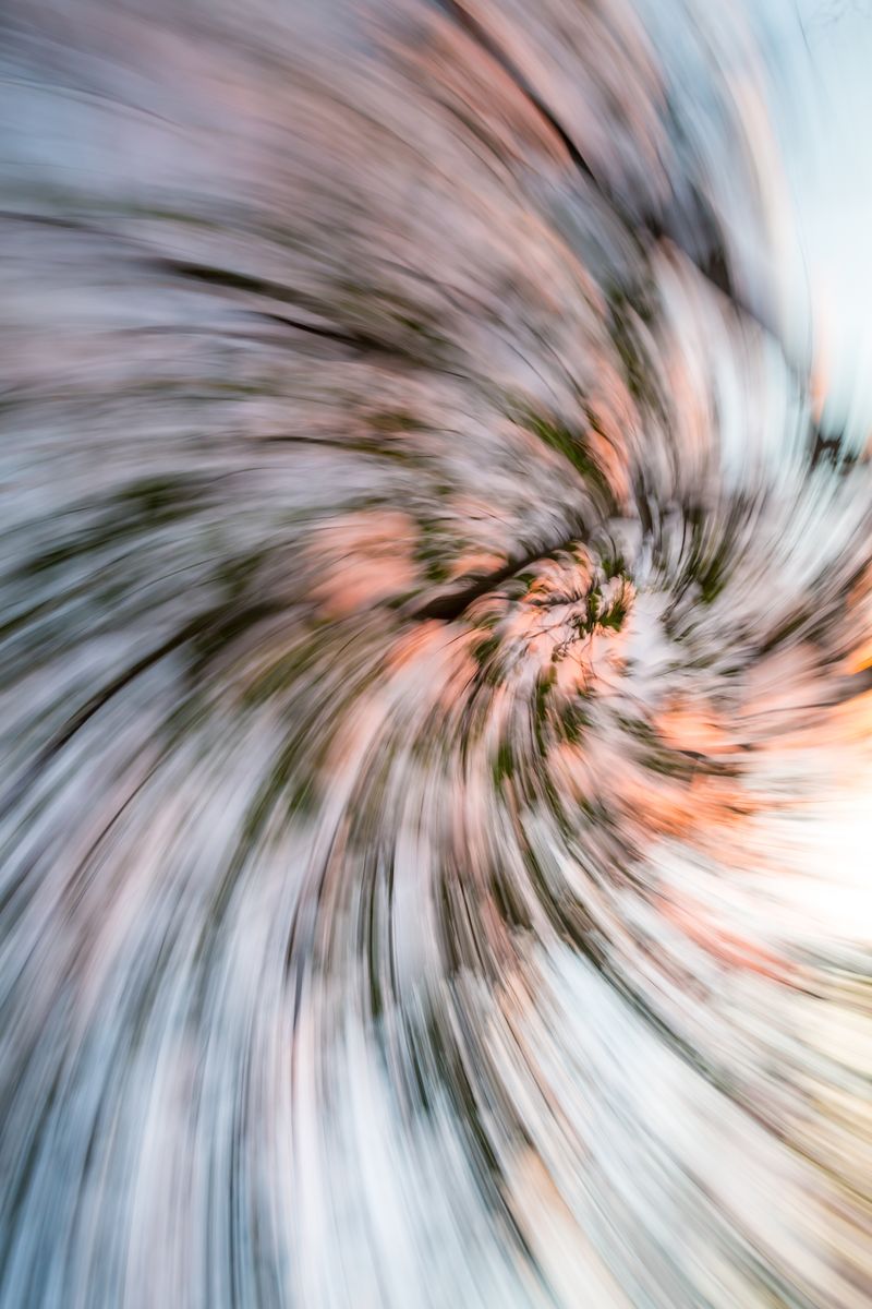 © JP Miles - Location: Jaco, Costa Rica. Artwork ID: 210202-7190