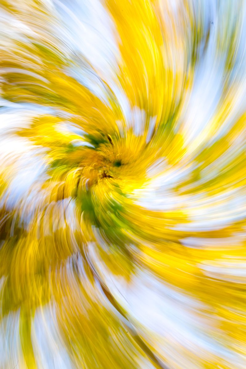 © JP Miles - Location: Jaco, Costa Rica. Artwork ID: 190323-4905