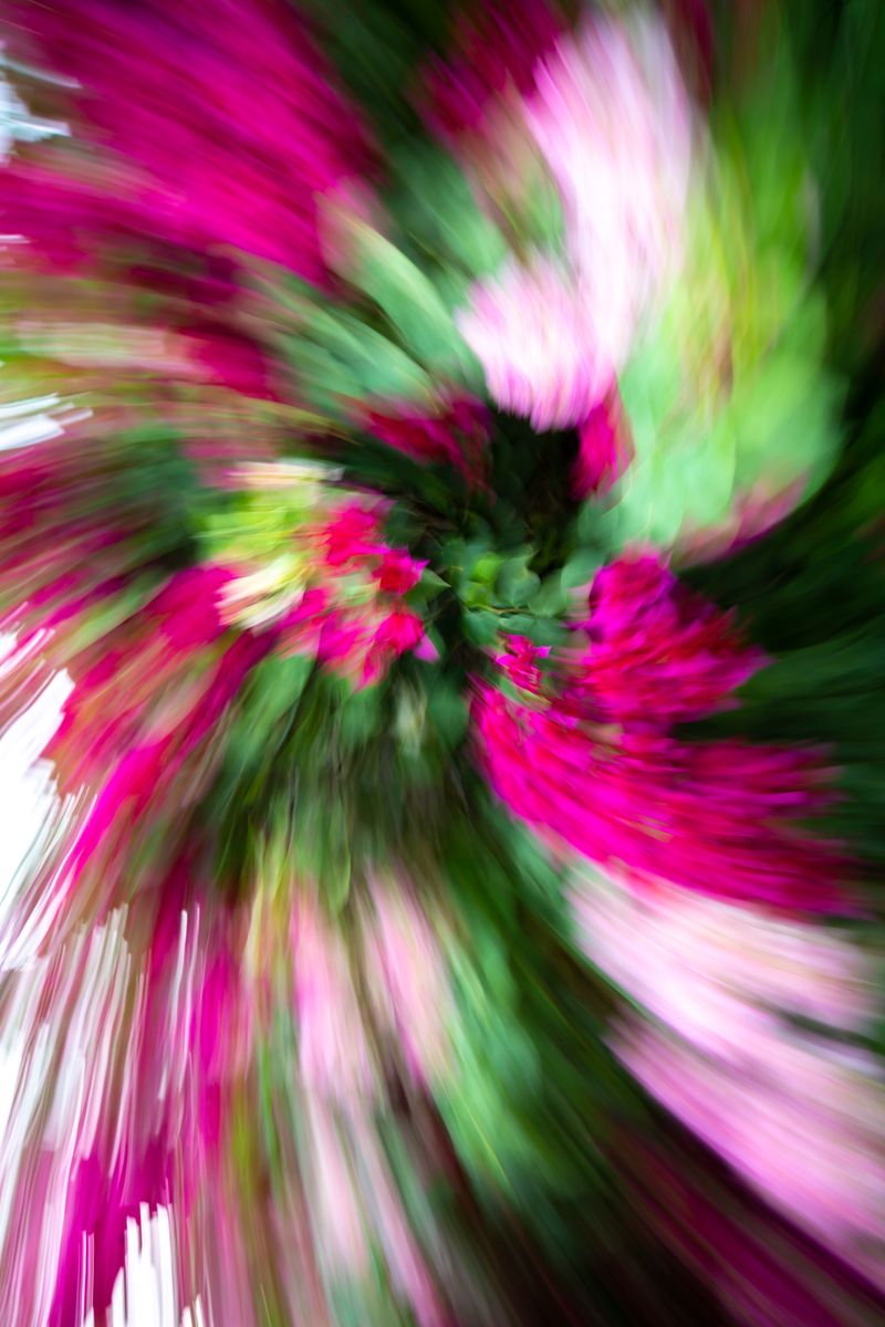 © JP Miles - Location: Playa Hermosa, Costa Rica. Artwork ID: 190127-0651