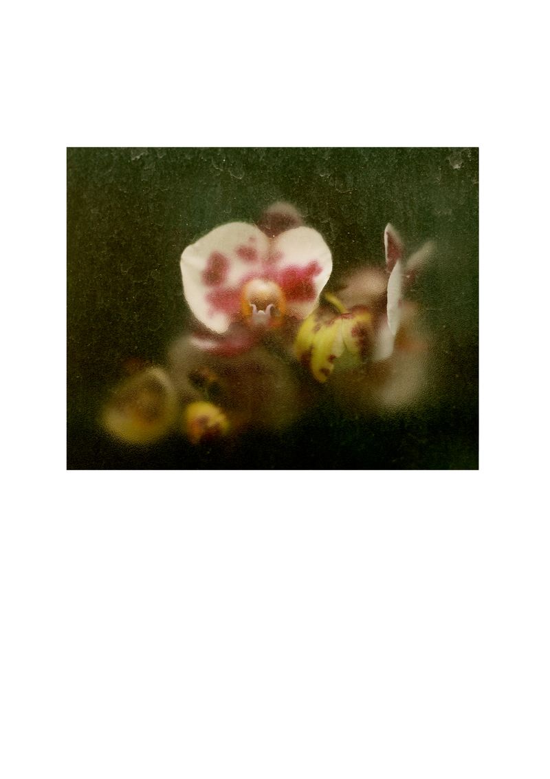 © Diana Velasco - Image from the Family Album photography project