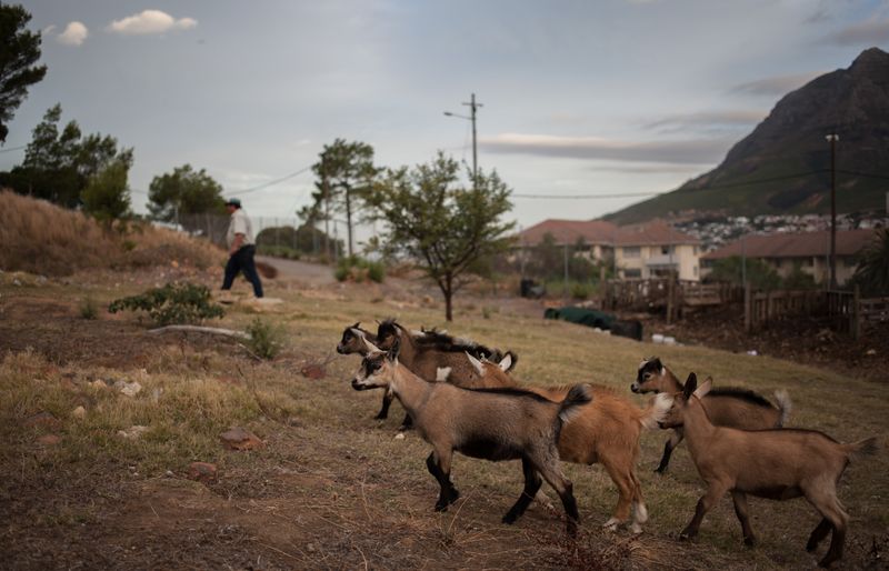 © Sally Low - Image from the ERF81 photography project