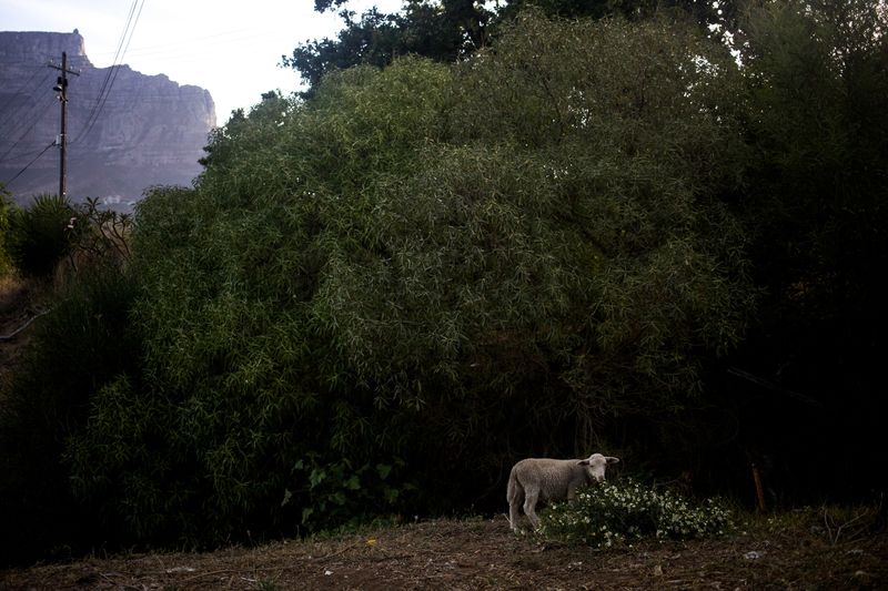 © Sally Low - Image from the ERF81 photography project