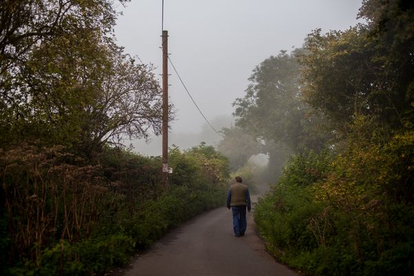 © Sally Low - Ron walks down Dews lane