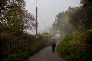 Along The Lane
