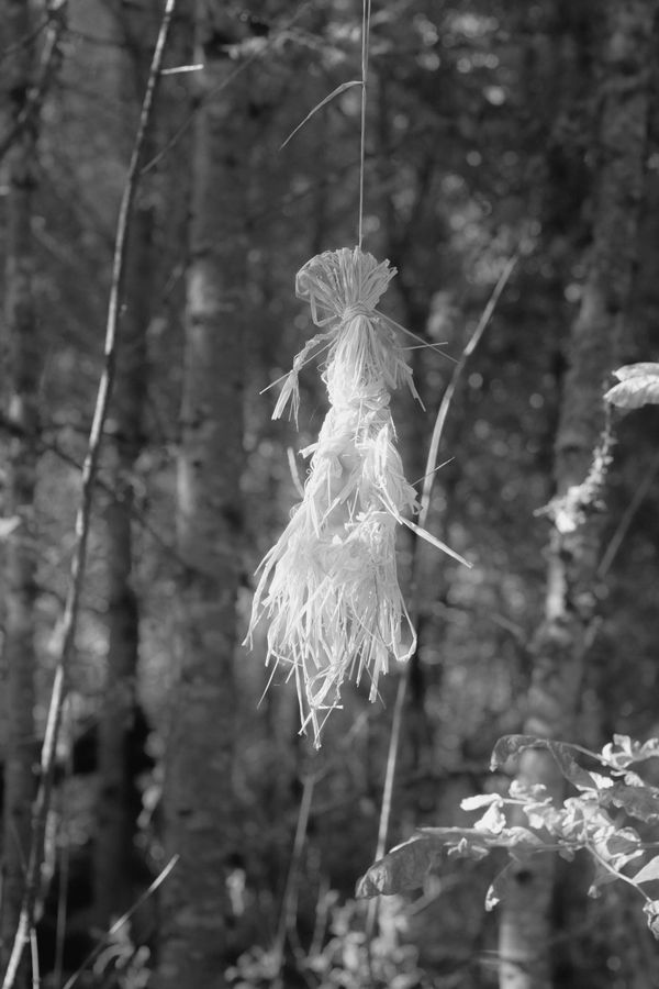 © Ryan Claypool - Image from the To A Land Unknown photography project