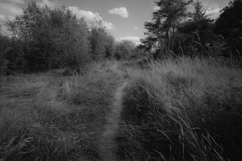 © Ryan Claypool - Image from the To A Land Unknown photography project