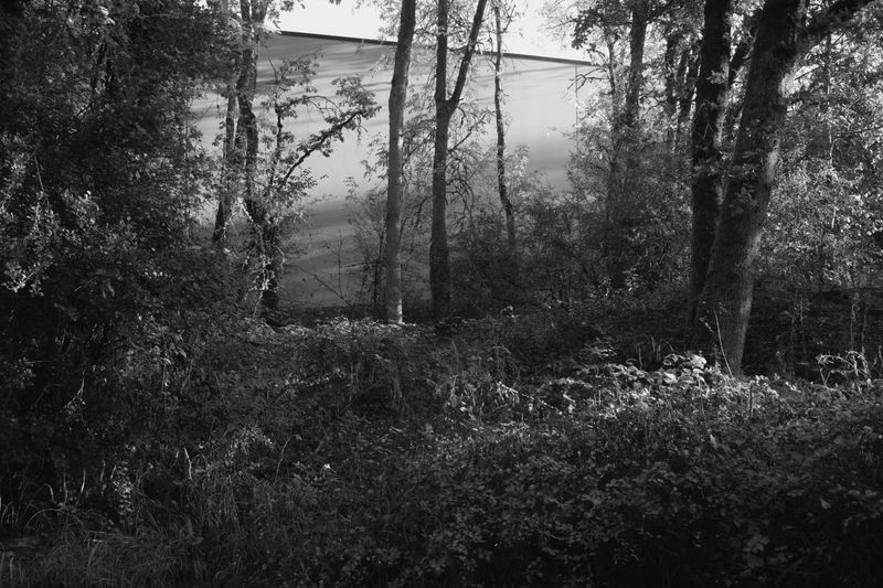 © Ryan Claypool - Image from the To A Land Unknown photography project