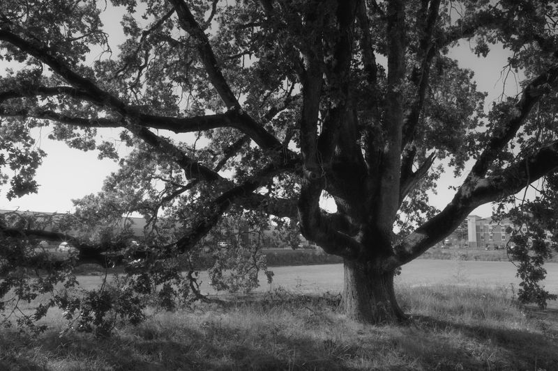 © Ryan Claypool - Image from the To A Land Unknown photography project