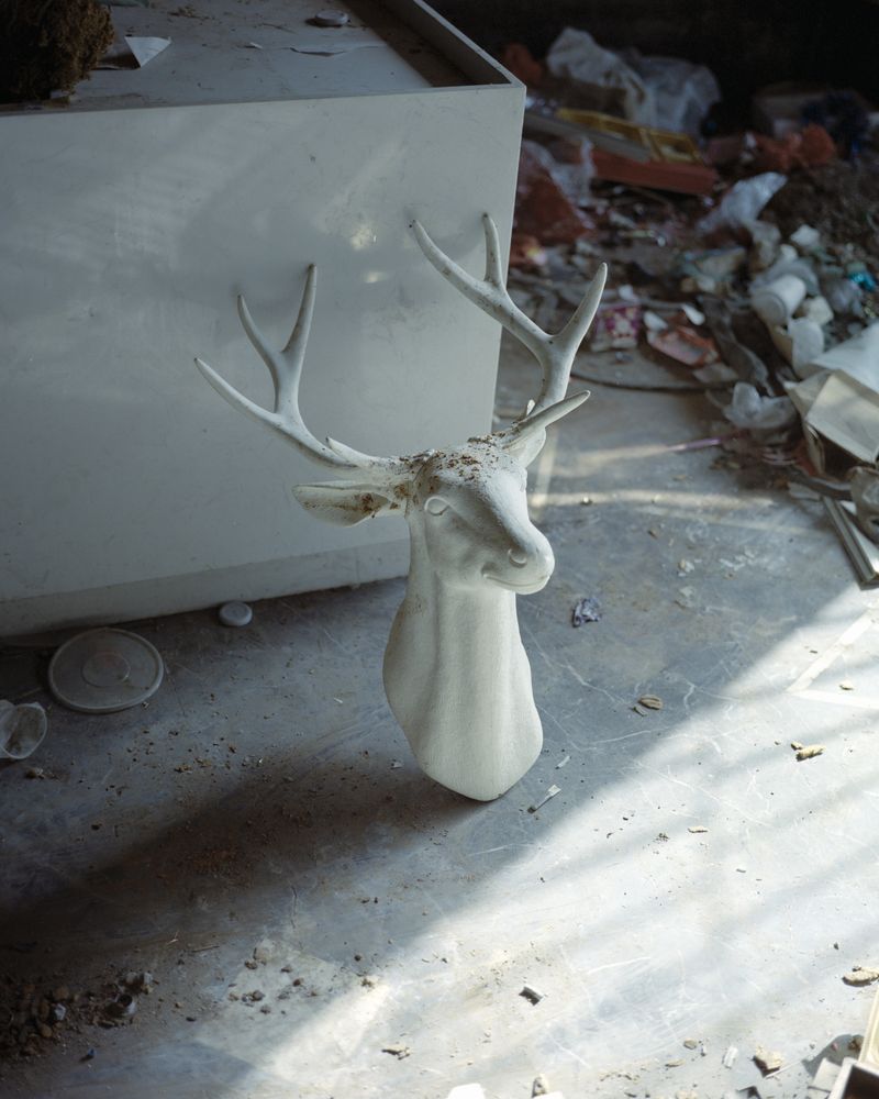 © Jialong Yang - Untitled (Deer head)