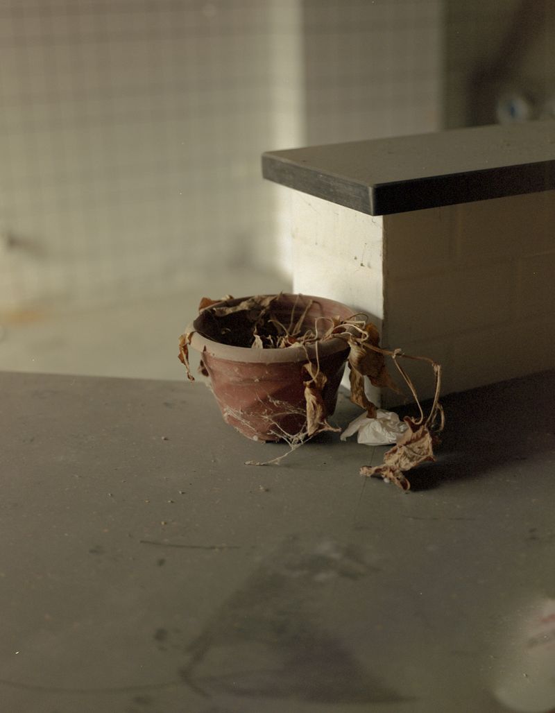 © Jialong Yang - Untitled (broken clay pot)