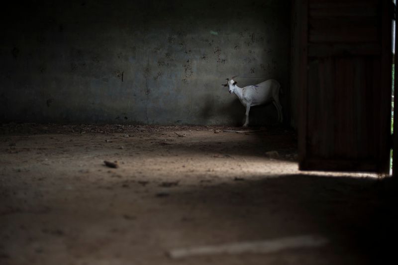 © Santiago Arcos - Image from the La Ciénega: The last days of a rural town photography project