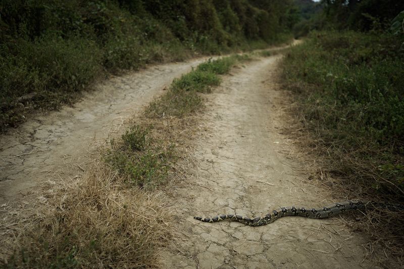 © Santiago Arcos - Image from the La Ciénega: The last days of a rural town photography project
