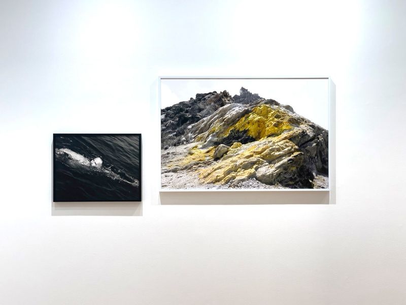 © Melissa Catanese - Installation image at Light Work, Syracuse, 2022