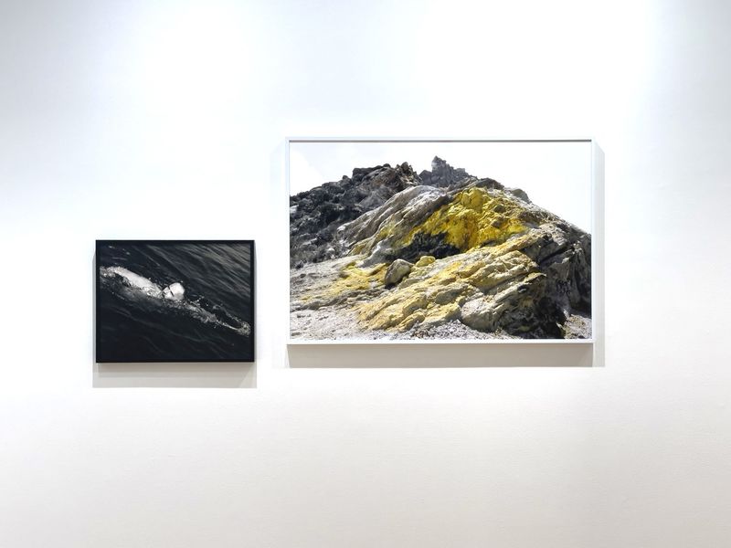 © Melissa Catanese - Installation image at Light Work, Syracuse, 2022