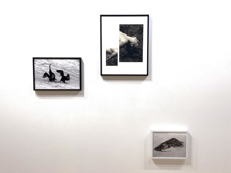 © Melissa Catanese - Installation image at Light Work, Syracuse, 2022